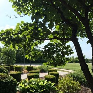 Meet your Posher, Lucy